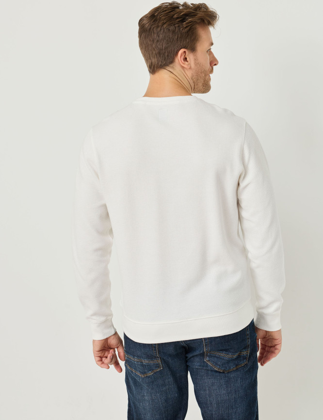 Model Back View