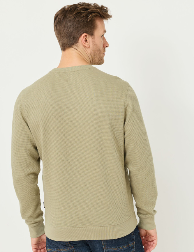 Model Back View